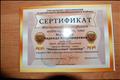 сертификат о проведении мастер-класса